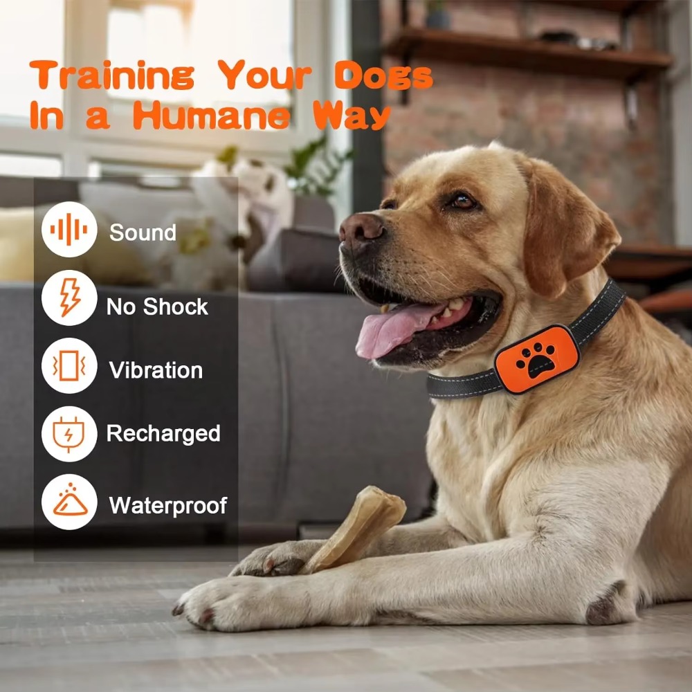 Haustier Hund Anti Bellen Gerä – Barking Dog Alarm Bewertung und Preis