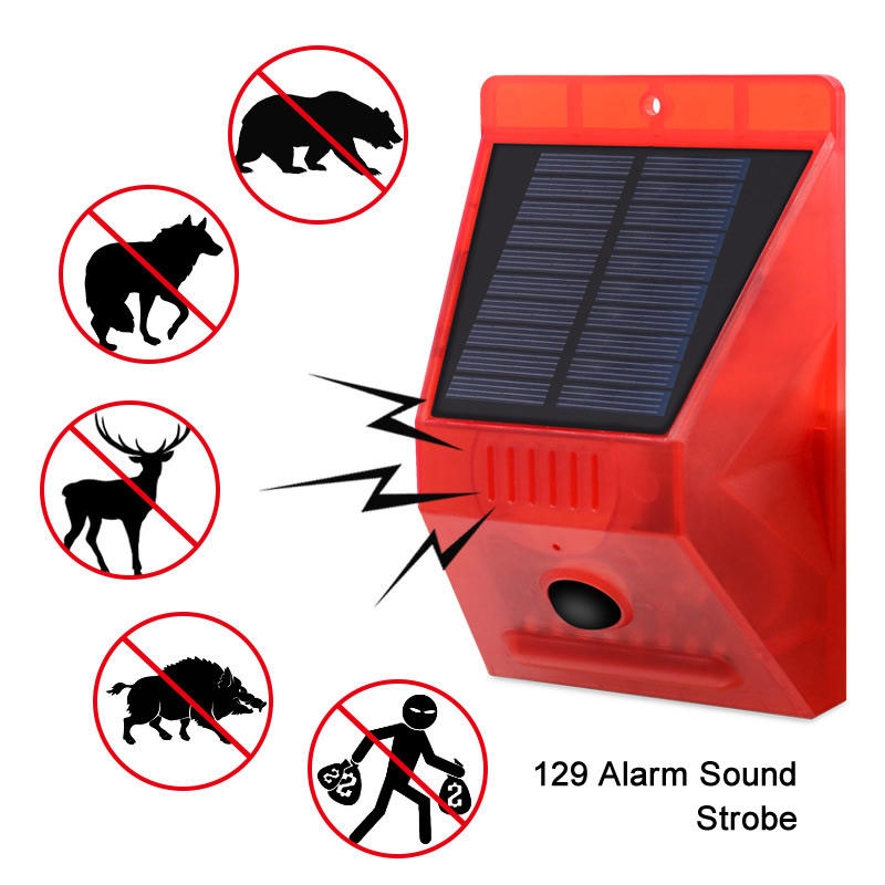 Solarbetriebener Infrarot-Bewe – Home Security Yard Sensors Bewertung und Preis