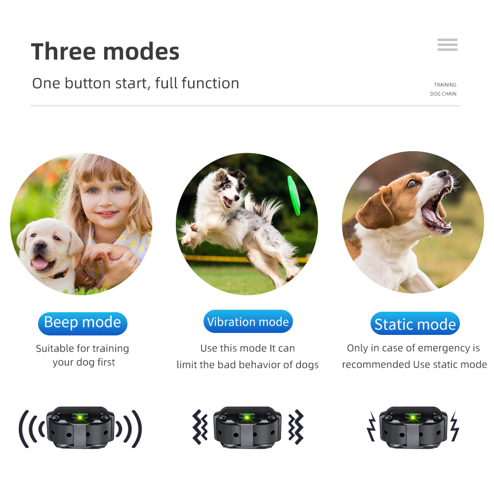 Elektrisches Hundetrainingshal – Barking Dog Alarm Bewertung und Preis